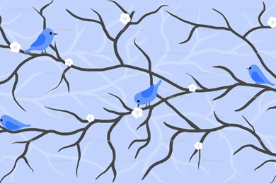 Bluebird Wallpapers   Wallpapers Cave