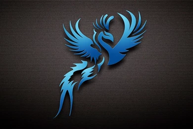 Wallpapers Dark Blue Bird   HD Wallpapers Expert