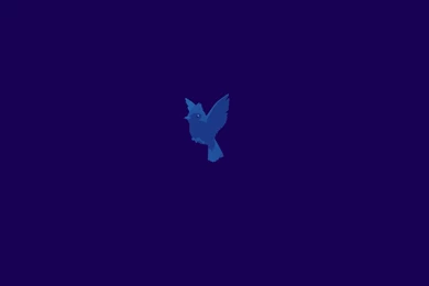 Windows 8 Pro Start Wallpapers 3   Blue Bird By Brebenel Silviu On ...
