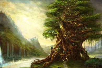 Tree Wallpapers In HD, Free Tree Wallpapers