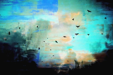 Alternative Art, Digital Art, Bird, Drawing Wallpaper,alternative ...