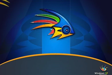 Fish Wallpapers Windows Xp   Wallpapers