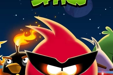 768x1024 Angry Birds Space Game Ipad Wallpapers
