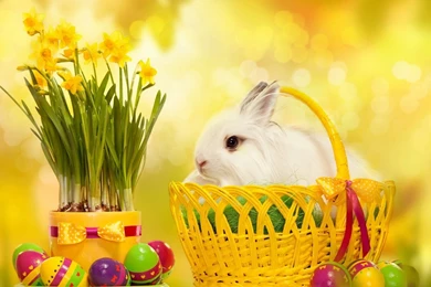 Happy Easter Bunny Wallpapers 2015