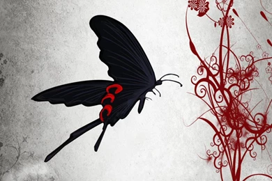 Butterfly Abstract Art Wallpapers