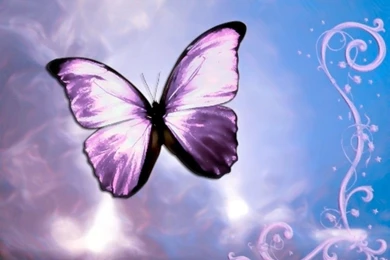 Free Download Butterfly Pink Abstract Wallpaper, HQ Backgrounds ...
