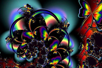 Wallpapers   HD Desktop Wallpapers Free Online: Butterfly Wallpapers