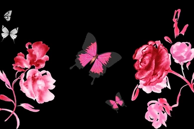 Pictures Of Roses And Butterflies   Desktop Backgrounds