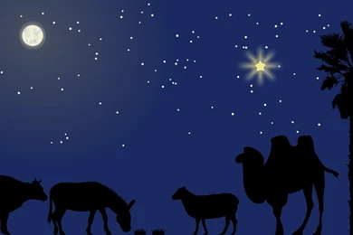 Nativity Scene Backgrounds Wallpapers Cave