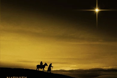 Nativity Backgrounds