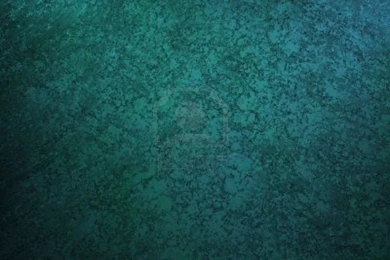 Wall Paper On Pinterest