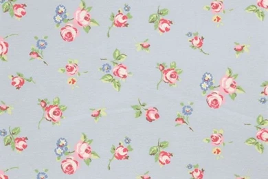 Rose Bud Wallpapers   ImgMob