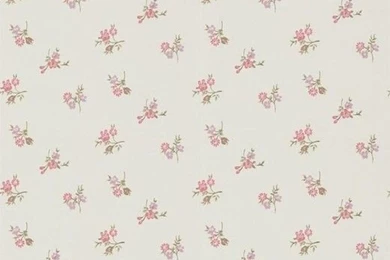 Rosebud Wallpapers   Duckegg/Pink   Contemporary   Wallpapers   By ...