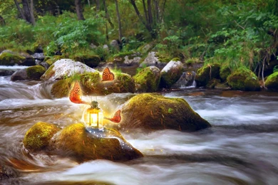 Nature Fantasy Wallpaper! >> HD Wallpaper, Get It Now!