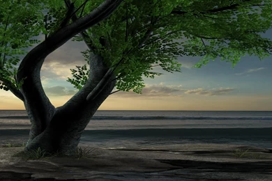 Fantasy Nature   1778560