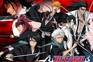 Bleach Characters Bleach Anime Wallpapers (36548022) Fanpop