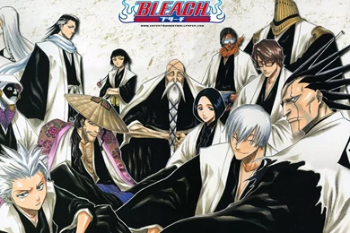 Bleach Bölüm Rehberi