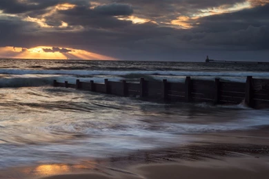 Hd Desktop Images, Large Wallpapers, Windows Backgrounds, Plants ...