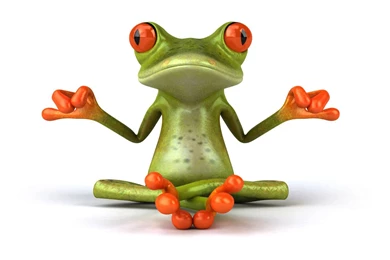 Frog Desktop Wallpaper, Frog Photos, New Wallpapers