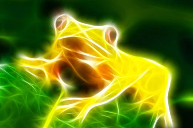 Fractalius Frogs Wallpapers   (