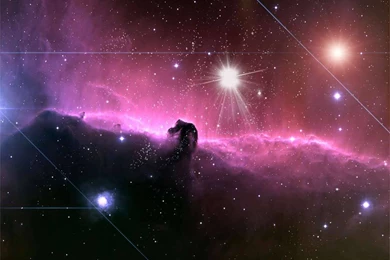 The Unusual Suspects: Don't You Think This Would Look Nice On A T ...