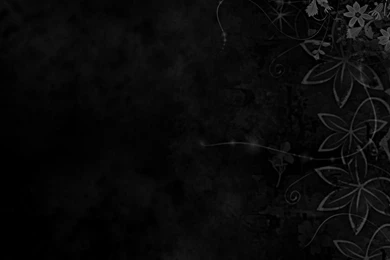 Black Wallpapers Black 26900921 Fanpop Fanclubs (