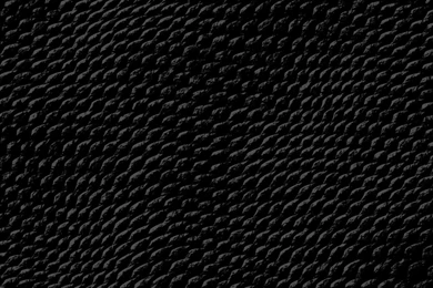 Dark Black Wallpapers Dark Wallpapers 0c Reptile Skin   (
