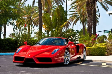 Coolest Collection Of Ferrari Wallpapers & Backgrounds In HD