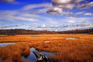 American Landscape Desktop Backgrounds