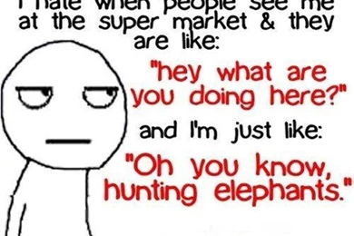 Cool backgrounds with funny quotes funny life quotes hd wallpaper desktop backgrounds funny quotes.jpg