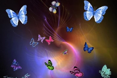 Fantasy Butterfly Backgrounds