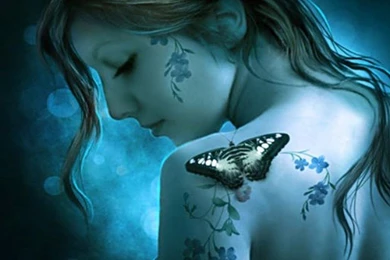 Butterfly Art Framed 3D Wallpapers Free Desktop