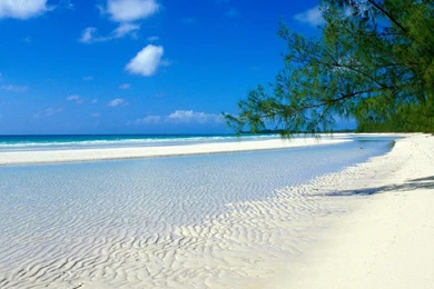 White Sand On The Beach Wallpapers   Beach Wallpapers