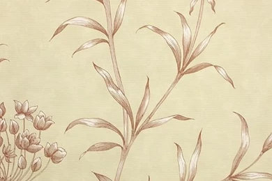 Red Agapanthus Wallpapers By Zoffany