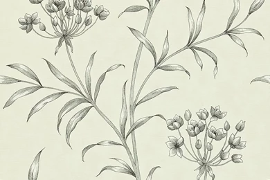Zoffany   Agapanthus Wallpapers   ZPAW04003 Charcoal   Design Luxuria