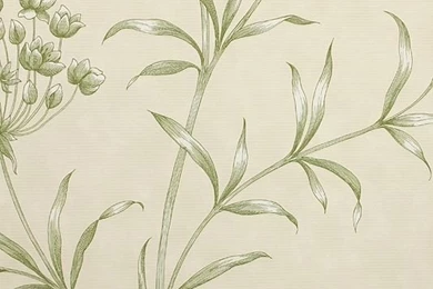 Agapanthus Wallpapers By Zoffany