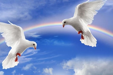 Wallpapers Of Natural Beauty   Wallpapers HD Fine