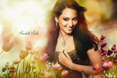 Sonakshi Sihna Hd Wallpapers