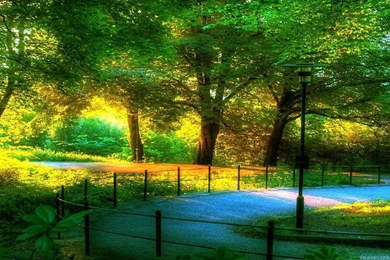 Scenery Wallpapers   HDWPlan