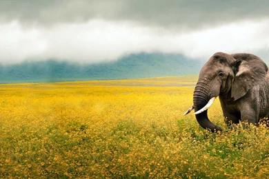 Beautiful Scenery 2016 Image Josh003 – Wallpaperjosh