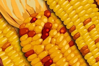 iPhone Wallpapers   Free iPhone Desktop Wallpapers & Pictures Download