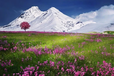 Snow Mountains Beautiful Scenery Wallpapers HD Download