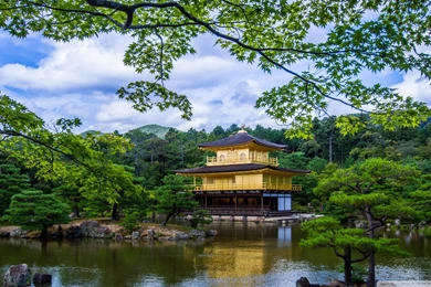 Download Albuquerque New Mexico Lds Temple Wallpapers 1920x1080 ...