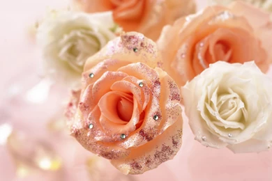 Love Flowers And Wallpapers Download