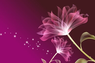 15+ Pink Floral Wallpapers