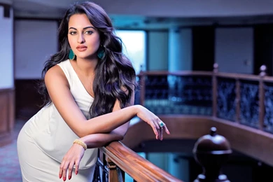 Sonakshi sinha hd wallpaper for desktop background download ...