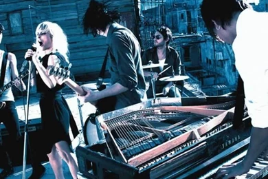 The Sounds Swedish Indie Rock Band Hd Wallpapers   (