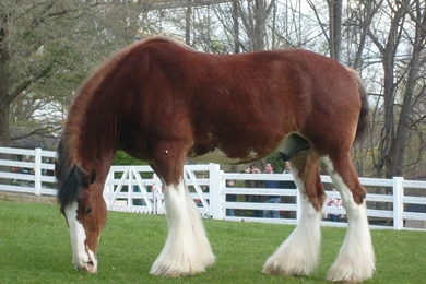 Professorfartsparkle (Katy)   DeviantArt