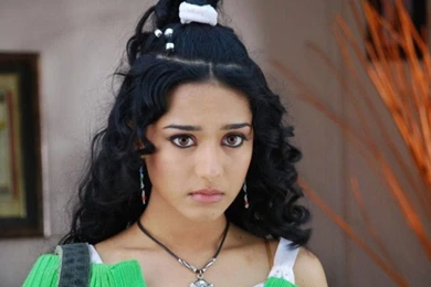 Amrita Rao   Bollywood   Actress Wallpapers Download FREE