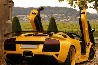 Wallpapers Muscle Man Free Lamborghini Hq At Com 1280x1024 ...